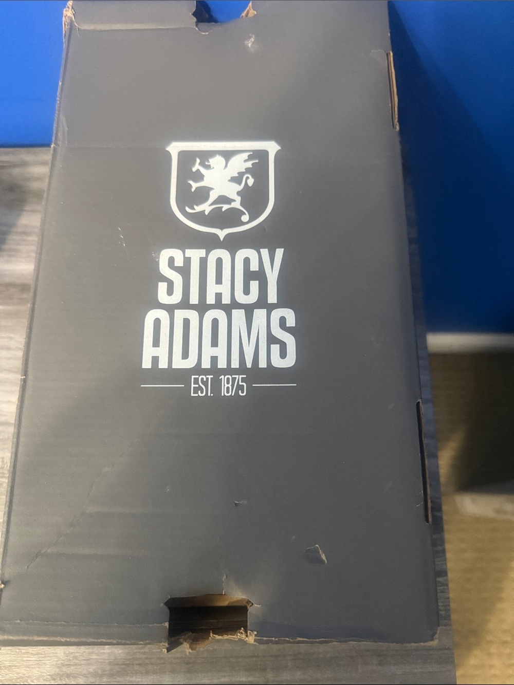 Stacy Adams Black Protective VR/AR Accessory Case
